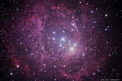 Nebulosa-Roseta-NGC-2244_WEB